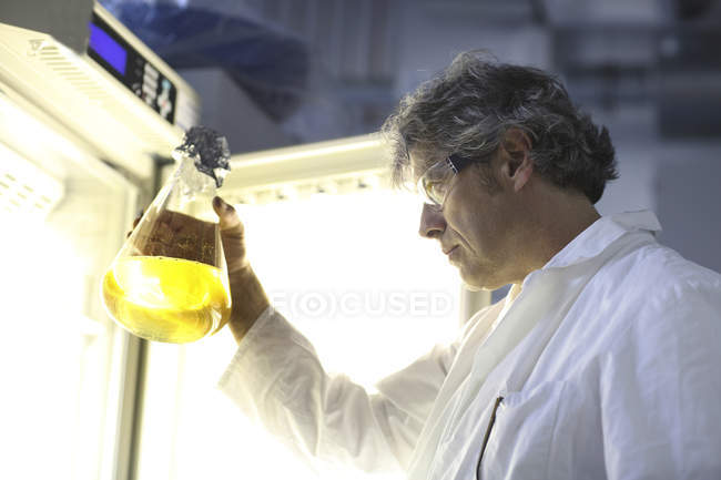 Wissenschaftler im Labor bei der Auswertung von Proben — Stockfoto