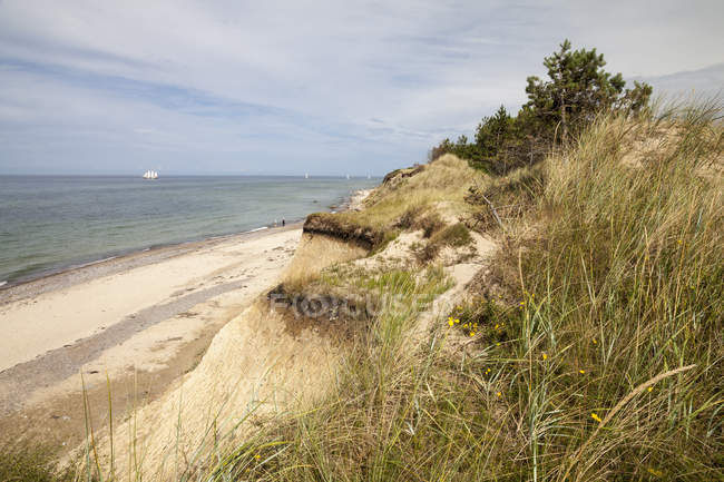 Germania, Meclemburgo-Pomerania occidentale, Ruegen, Nordwestufer Wittow e Kreptitz Heath Nature Reserve, costa, battistrada — Foto stock