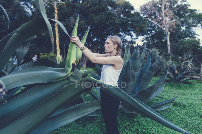Itália, Sicília, jovem libertando uma gigante Agave americana no Jardim Botânico de Palermo — Fotografia de Stock