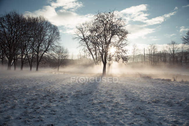 Germania, Baviera, Landshut, paesaggio invernale con sole mattutino — Foto stock