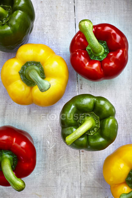 Six poivrons colorés sur bois gris — Photo de stock