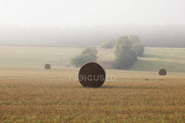 Germania, Veduta della balla di paglia in autunno — Foto stock