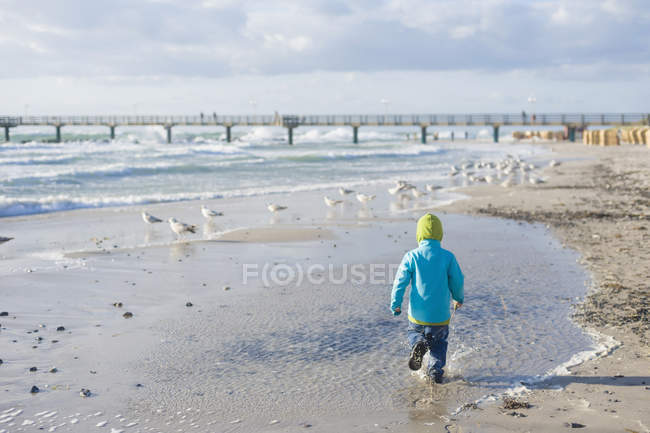 Німеччина, Мекленбург Західної Померанії, хлопчик працює на Балтійському морі — стокове фото