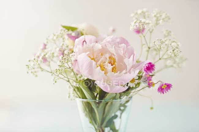 Свежие срезанные различные цветы в вазе — стоковое фото