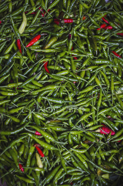 Piments verts en tas — Photo de stock
