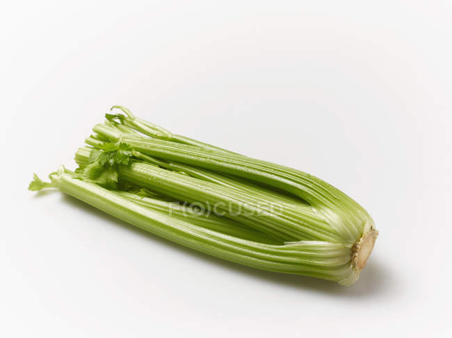Fresh stick celery — Stock Photo