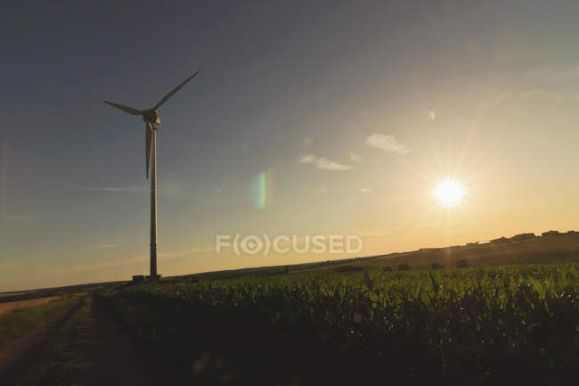 Alemania, Sajonia, Vista del aerogenerador en el campo - foto de stock