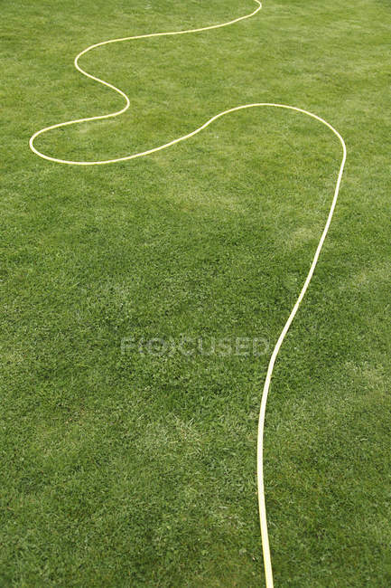 Tubo da giardino su erba verde — Foto stock