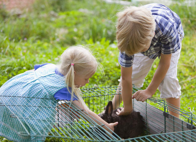Junge und Mädchen streicheln Kaninchen im Garten — Stockfoto