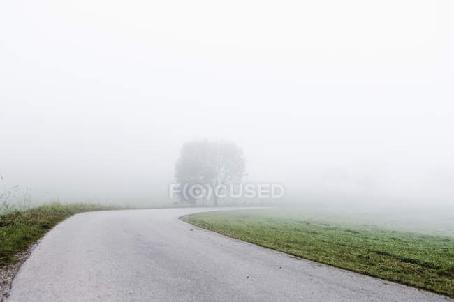 Vista da estrada rural através do nevoeiro durante o dia — Fotografia de Stock