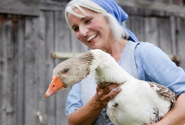 Femme mûre avec oie à la ferme — Photo de stock