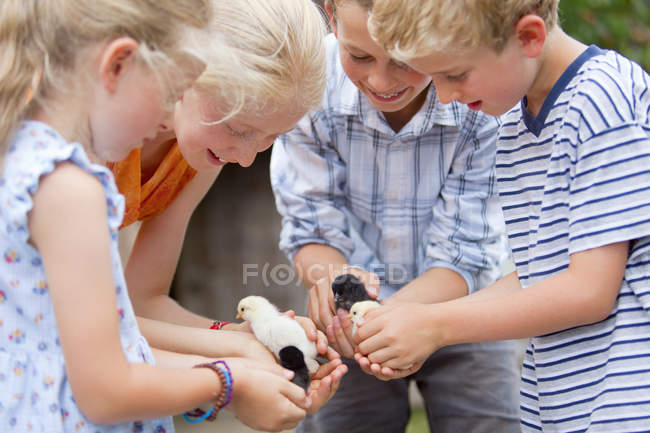 \Group de niños con pollitos bebé en naturaleza - foto de stock
