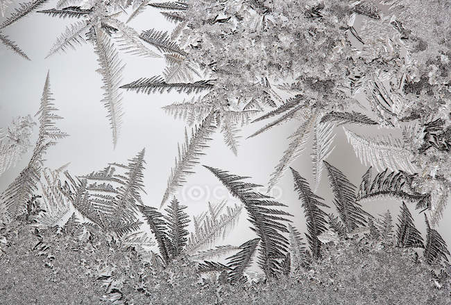 Closeup Of Texture Of Window Covered With Ice Crystals Outdoor Filigree Stock Photo