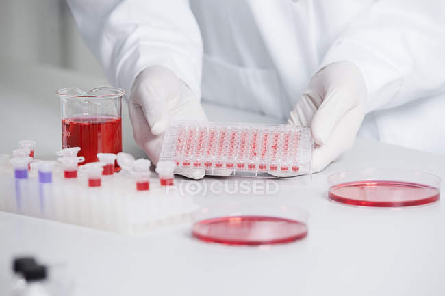 Científico sosteniendo líquido rojo - foto de stock