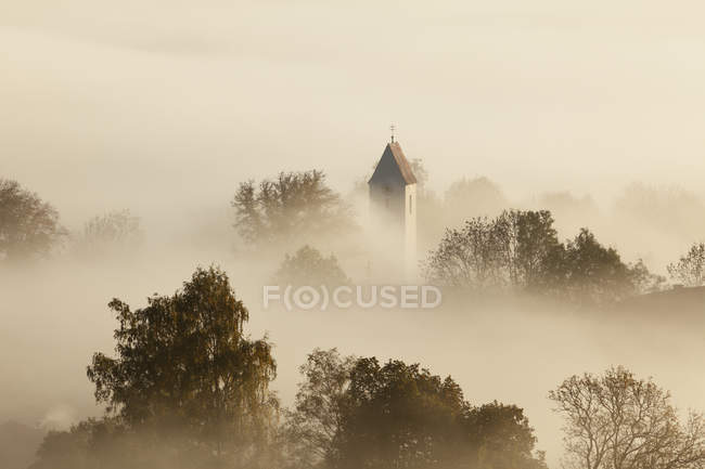 Alemanha, Baviera, Zell, torre e árvores em nevoeiro — Fotografia de Stock
