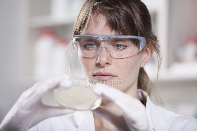 Científico trabajando con placa de Petri - foto de stock
