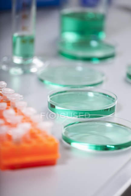 Prateleira de tubo de ensaio e placas de Petri — Fotografia de Stock