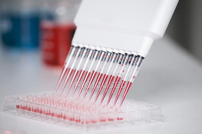 Allemagne, Bavière, Munich, Pipette multicanal distribuant du réactif rouge dans un plateau de test pour la recherche médicale — Photo de stock