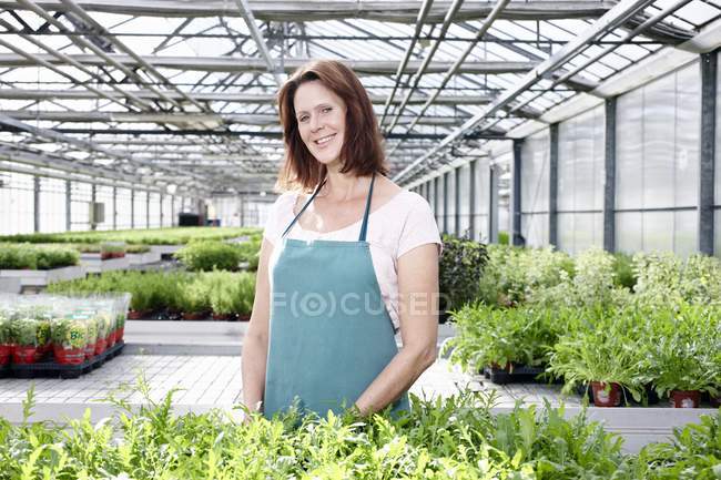Woman in greenhouse with rocket plants — Stock Photo