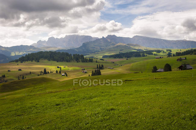 Italia, Tirol del Sur, Dolomitas, Seiser Alm, Pradera alpina de gran altitud durante el día - foto de stock