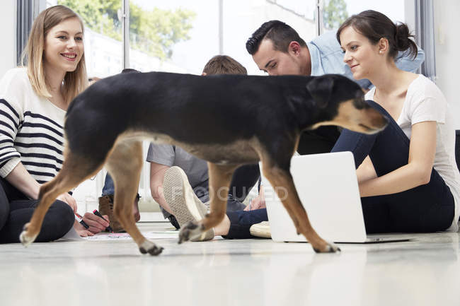 Group of creative professionals working with dog passing on floor — Stock Photo