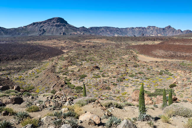 Vista do Parque Nacional de Teide durante o dia, Tenerife, Ilhas Canárias, Espanha — Fotografia de Stock