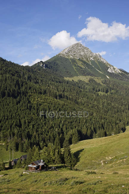 Ochsenwaldalm Альпи та Grober Pyhrgas — стокове фото