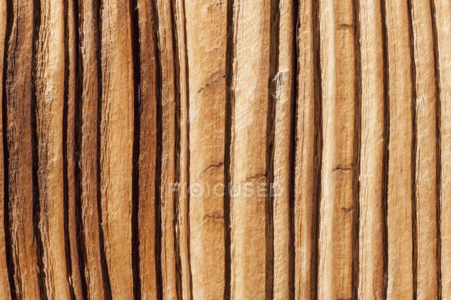 Alemania, Tablero de madera de abeto viejo, de cerca - foto de stock