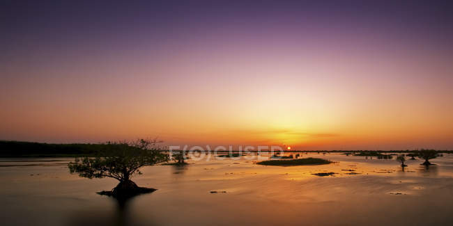 США, штат Флорида, мангрові болота на заході, у — стокове фото
