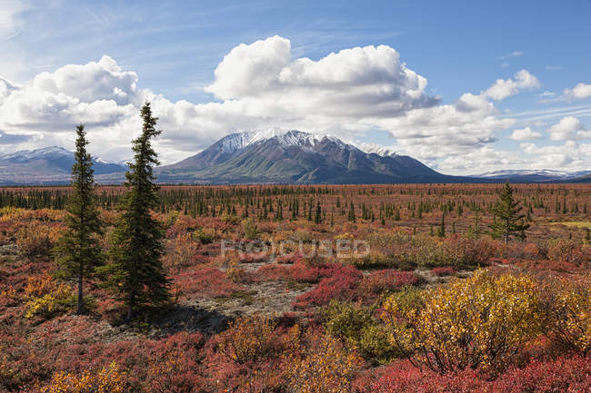 США, Аляска, краєвид вздовж Denali шосе восени з Аляски діапазон — стокове фото