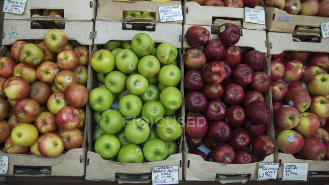 Manzanas frescas en cajas - foto de stock