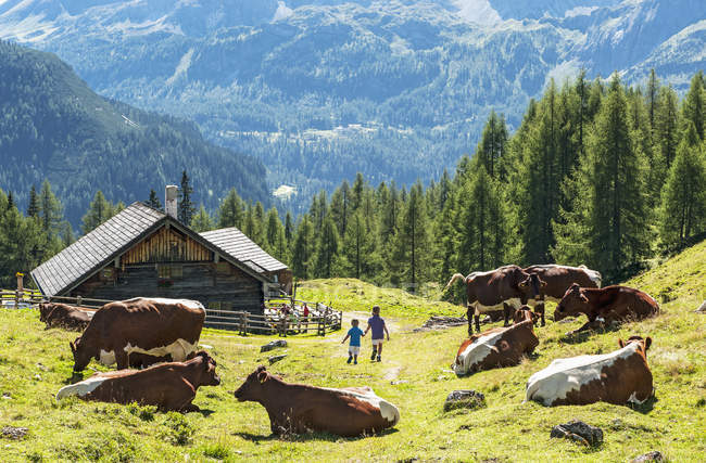 Ragazza e ragazzo che vagano all'Altenmarkt Zauchensee di giorno, Salisburgo, Austria — Foto stock