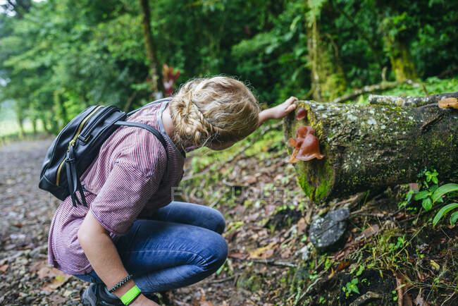 Costa Rica, Mujer mirando un hongo en un tronco de árbol - foto de stock