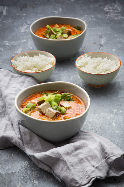 Rotes Curry mit geräuchertem Tofu — Stockfoto