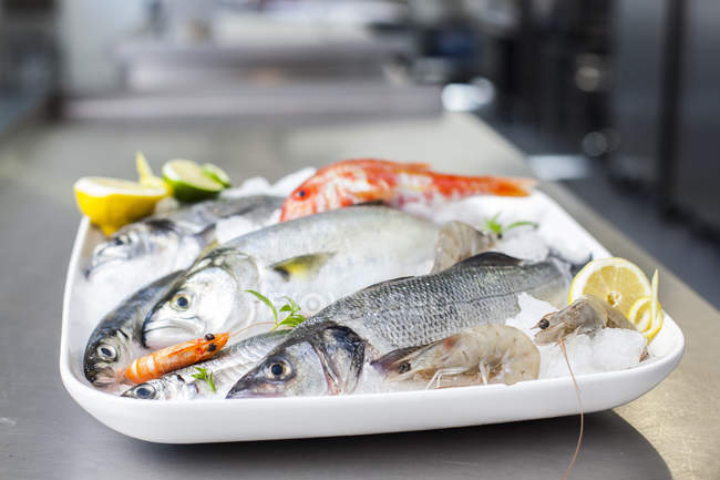 Блюдо з сирих риб і морепродуктів — стокове фото