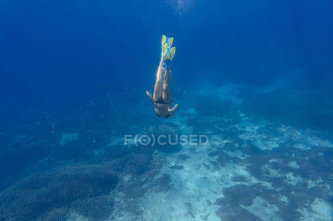 Woman with fins and snorkel diving under water — Stock Photo