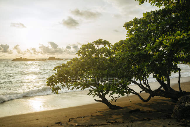 Costa Rica, spiaggia del Corcovado al tramonto — Foto stock
