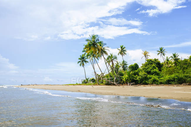 Costa Rica, Beach landscape with palm trees — Dream Beach, natural