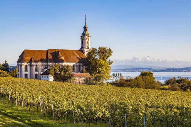 Allemagne, Bade-Wurtemberg, Lac de Constance, Basilique de Birnau et vignoble — Photo de stock