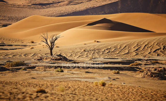Africa, Namibia, Namib-Naukluft National Park, Namib desert, — Stock Photo