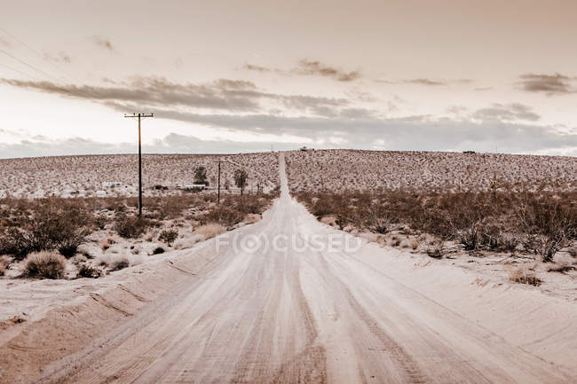 USA, California, Joshua Tree, a dirt street through the desert of Joshua Trees — Stock Photo