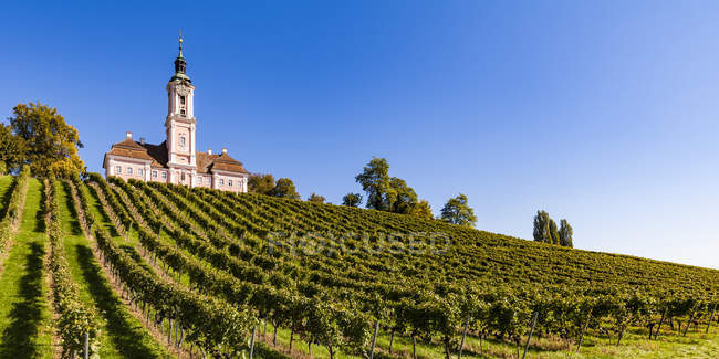 Alemania, Baden-Wuerttemberg, Distrito del Lago de Constanza, Basílica de Birnau y viñedo - foto de stock
