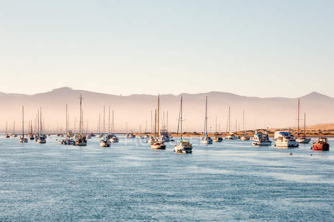 USA, California, Morro Bay, port of Morro Bay, sailing boats — Stock Photo