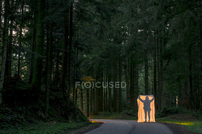 Silueta de mujer sosteniendo manta en camino de campo en bosque - foto de stock