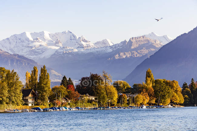 Switzerland, Canton of Bern, Thun, river Aare and alpine panorama — Stock Photo