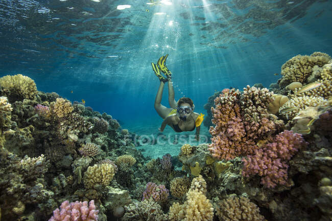 Egypt, Red Sea, Hurghada, teenage girl snorkeling at coral reef — Stock Photo
