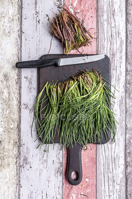 Opposite-leaved saltwort on chopping board — Stock Photo