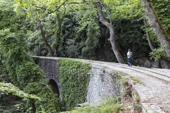 Grèce, Pilion, Milies, homme marchant le long des rails du chemin de fer à écartement étroit — Photo de stock