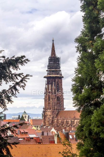 Germany, Baden-Wuerttemberg, Freiburg, Freiburg Minster — Stock Photo