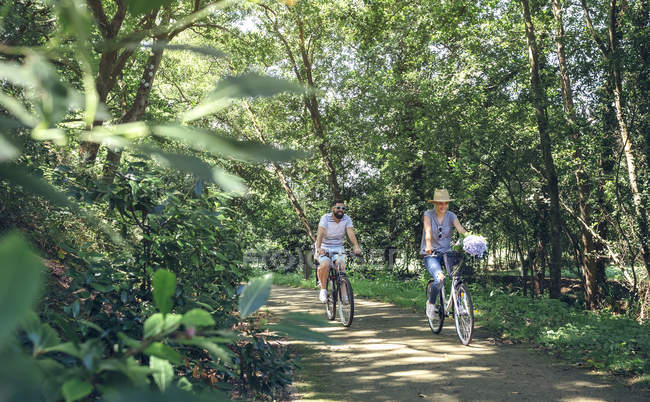 Family riding bicycles in a forest — Stock Photo
